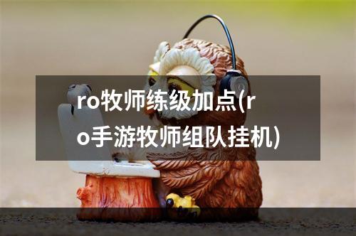 ro牧师练级加点(ro手游牧师组队挂机)