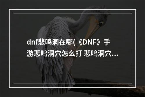 dnf悲鸣洞在哪(《DNF》手游悲鸣洞穴怎么打 悲鸣洞穴打法攻略一览  )