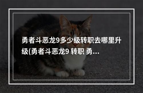 勇者斗恶龙9多少级转职去哪里升级(勇者斗恶龙9 转职 勇者斗恶龙9所有转上职业的攻略)