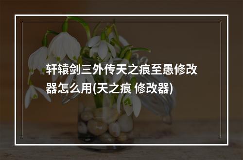 轩辕剑三外传天之痕至愚修改器怎么用(天之痕 修改器)