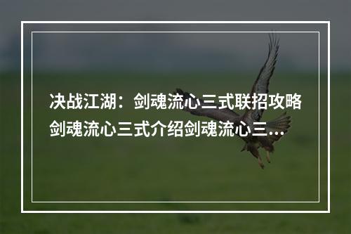 决战江湖：剑魂流心三式联招攻略剑魂流心三式介绍剑魂流心三式是武侠游戏决战江湖中最强的连招之一。它由三个招式组成：流星雨、流水无痕以及心剑无痕。流星雨是一招快速攻