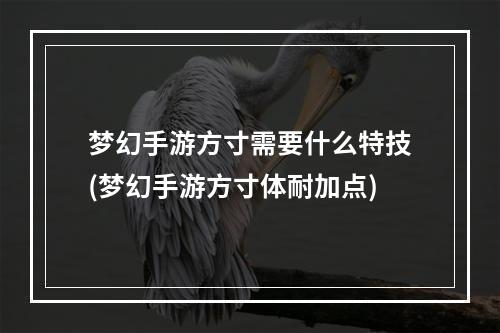 梦幻手游方寸需要什么特技(梦幻手游方寸体耐加点)