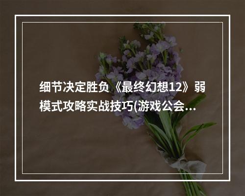 细节决定胜负《最终幻想12》弱模式攻略实战技巧(游戏公会BOSS攻略)