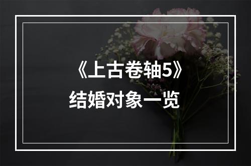 《上古卷轴5》结婚对象一览