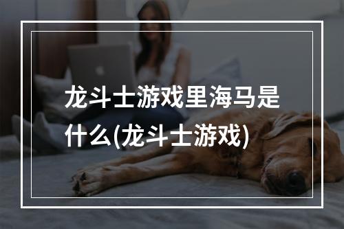 龙斗士游戏里海马是什么(龙斗士游戏)