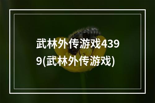 武林外传游戏4399(武林外传游戏)