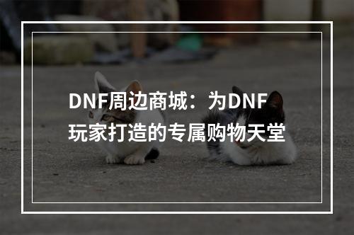 DNF周边商城：为DNF玩家打造的专属购物天堂