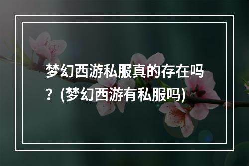 梦幻西游私服真的存在吗？(梦幻西游有私服吗)