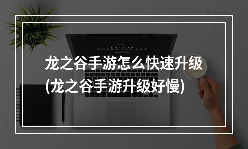 龙之谷手游怎么快速升级(龙之谷手游升级好慢)