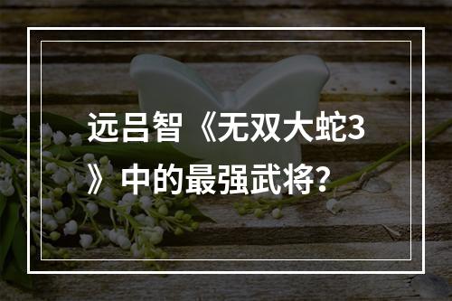 远吕智《无双大蛇3》中的最强武将？