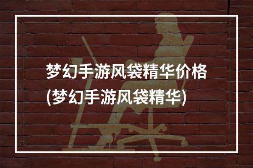 梦幻手游风袋精华价格(梦幻手游风袋精华)