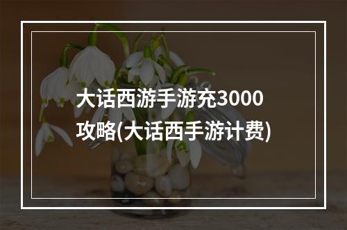 大话西游手游充3000攻略(大话西手游计费)