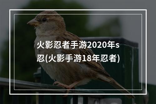 火影忍者手游2020年s忍(火影手游18年忍者)