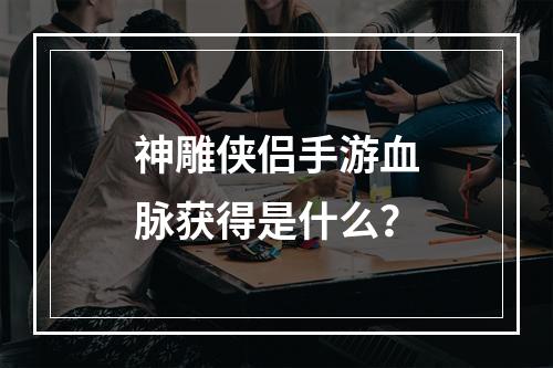 神雕侠侣手游血脉获得是什么？