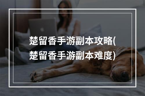 楚留香手游副本攻略(楚留香手游副本难度)