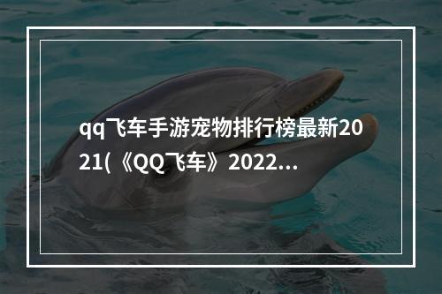 qq飞车手游宠物排行榜最新2021(《QQ飞车》2022最新宠物排行榜一览 QQ飞车手游  )