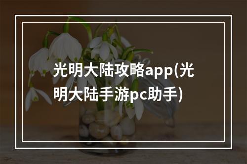 光明大陆攻略app(光明大陆手游pc助手)