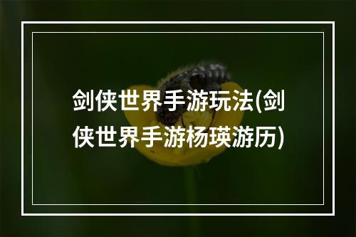 剑侠世界手游玩法(剑侠世界手游杨瑛游历)