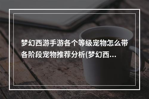 梦幻西游手游各个等级宠物怎么带各阶段宠物推荐分析(梦幻西游宠物)