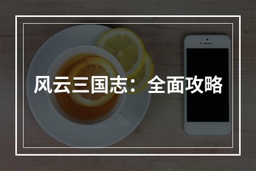 风云三国志：全面攻略