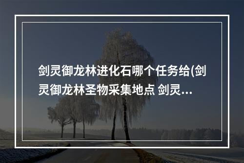 剑灵御龙林进化石哪个任务给(剑灵御龙林圣物采集地点 剑灵亡者森林圣物点介绍)