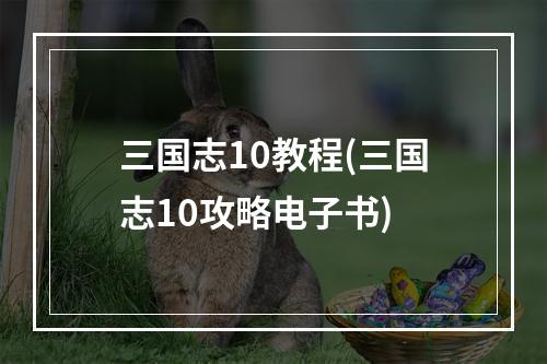 三国志10教程(三国志10攻略电子书)