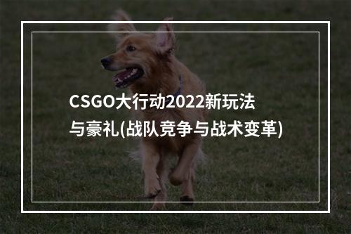 CSGO大行动2022新玩法与豪礼(战队竞争与战术变革)