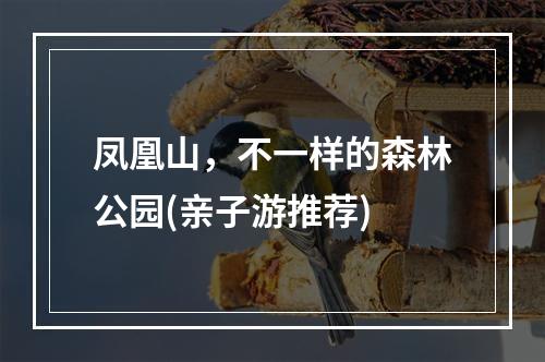 凤凰山，不一样的森林公园(亲子游推荐)