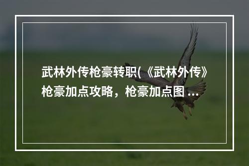 武林外传枪豪转职(《武林外传》枪豪加点攻略，枪豪加点图 枪豪潜能加点图)