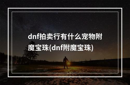 dnf拍卖行有什么宠物附魔宝珠(dnf附魔宝珠)