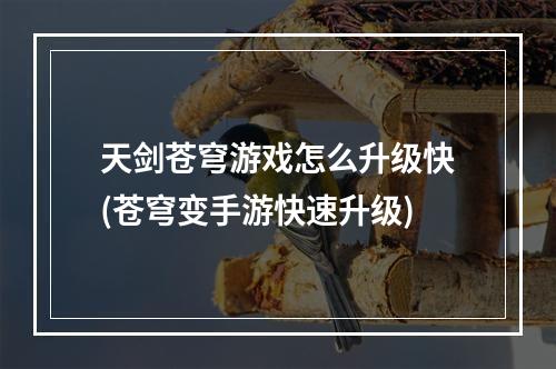 天剑苍穹游戏怎么升级快(苍穹变手游快速升级)