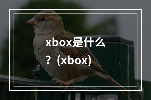 xbox是什么？(xbox)