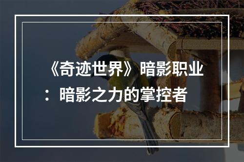 《奇迹世界》暗影职业：暗影之力的掌控者