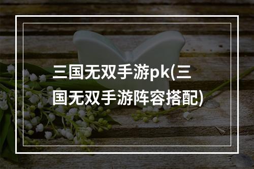 三国无双手游pk(三国无双手游阵容搭配)