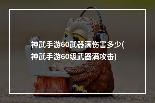 神武手游60武器满伤害多少(神武手游60级武器满攻击)