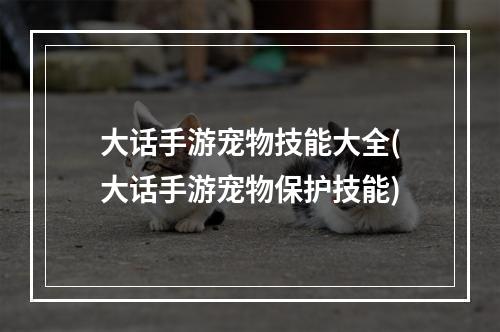 大话手游宠物技能大全(大话手游宠物保护技能)