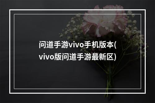 问道手游vivo手机版本(vivo版问道手游最新区)