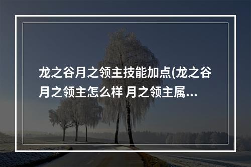 龙之谷月之领主技能加点(龙之谷月之领主怎么样 月之领主属性技能一览 )