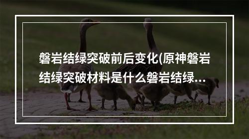 磐岩结绿突破前后变化(原神磐岩结绿突破材料是什么磐岩结绿突破材料一览)