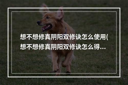 想不想修真阴阳双修诀怎么使用(想不想修真阴阳双修诀怎么得 阴阳双修诀获取攻略 想不想)