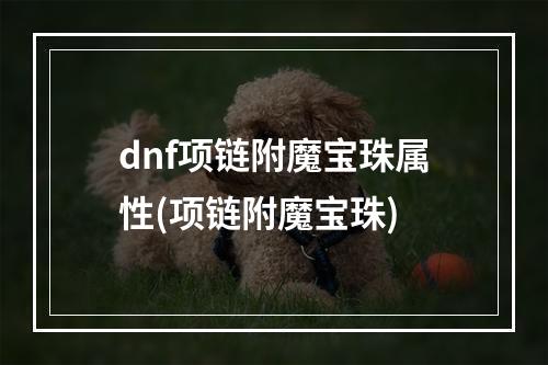 dnf项链附魔宝珠属性(项链附魔宝珠)