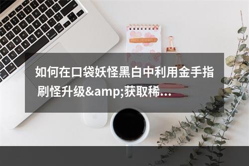 如何在口袋妖怪黑白中利用金手指 刷怪升级&获取稀有宝可梦宝可梦大圣(金龙鱼)