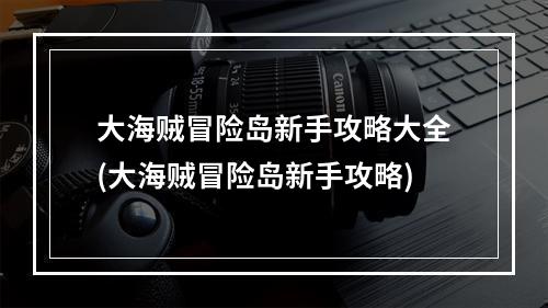 大海贼冒险岛新手攻略大全(大海贼冒险岛新手攻略)