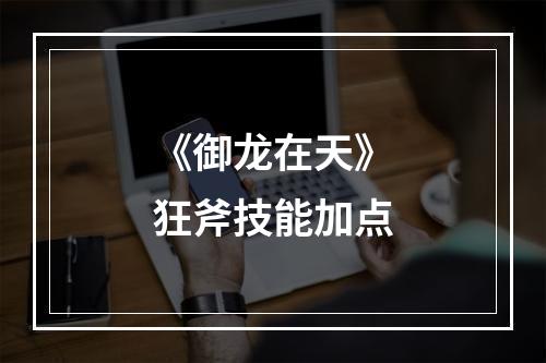 《御龙在天》狂斧技能加点