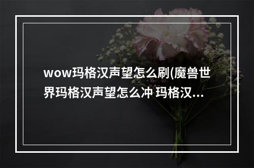 wow玛格汉声望怎么刷(魔兽世界玛格汉声望怎么冲 玛格汉声望速刷攻略  )