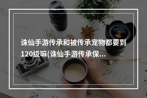 诛仙手游传承和被传承宠物都要到120级嘛(诛仙手游传承保留雕琢)