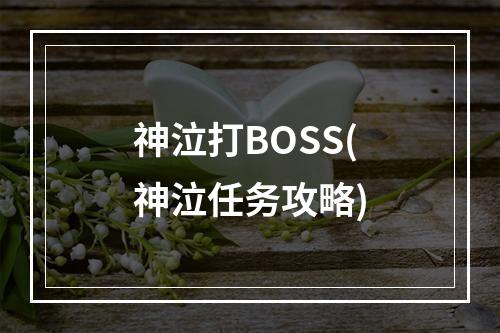 神泣打BOSS(神泣任务攻略)