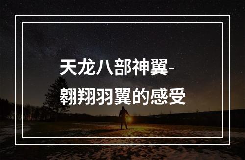 天龙八部神翼-翱翔羽翼的感受