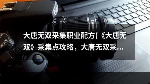 大唐无双采集职业配方(《大唐无双》采集点攻略，大唐无双采集技能 采集学什么)