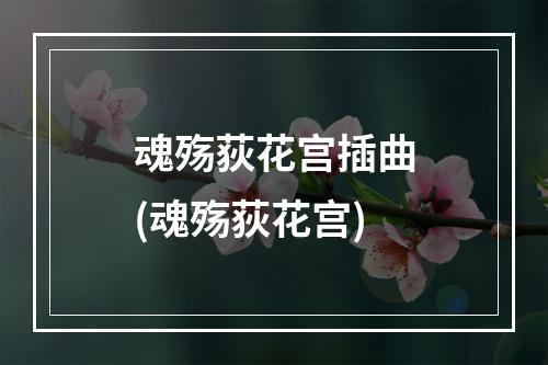 魂殇荻花宫插曲(魂殇荻花宫)